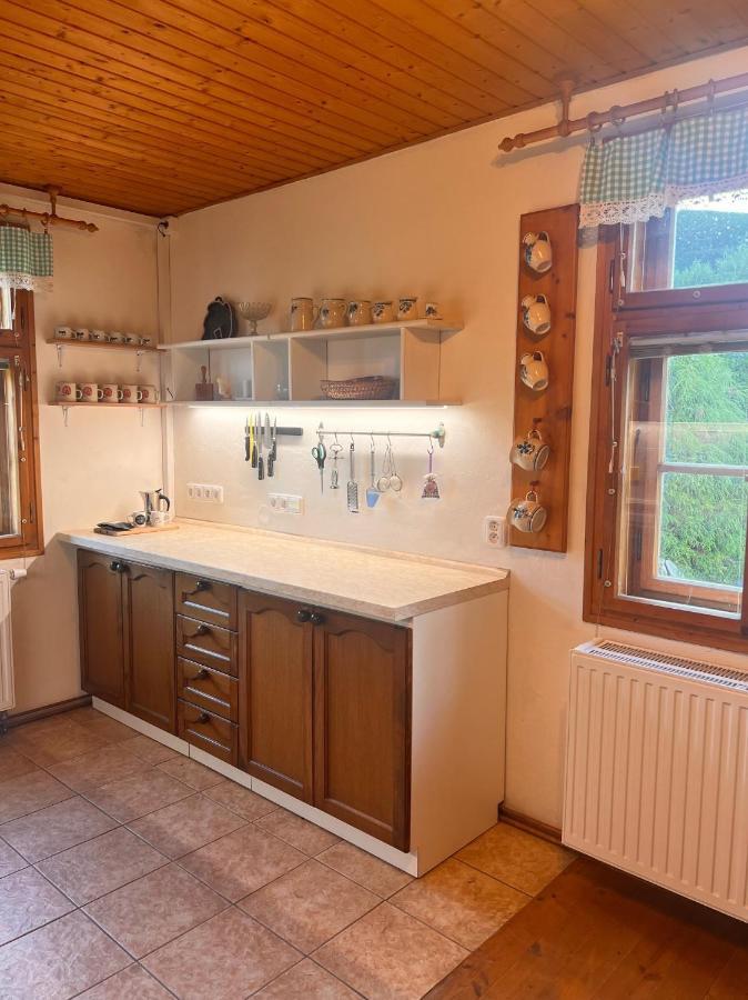 Roubenka Jeseniky Villa Bridlicna Eksteriør billede